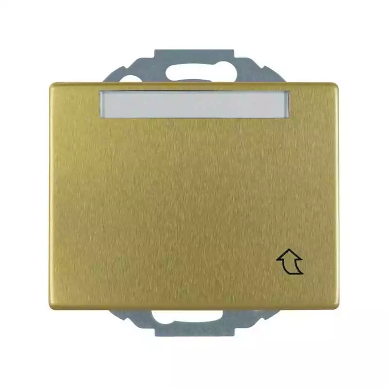 Priză SCHUKO ARSYS gold cu capac 47580002